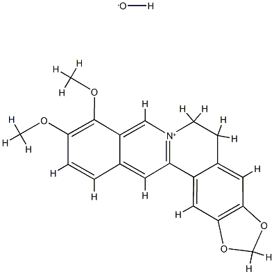 Benzog-1,3-benzodioxolo5,6-aquinolizinium, 5,6-dihydro-9,10-dimethoxy-, hydroxide Struktur