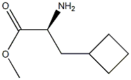 S-2-环丁基丙氨酸甲酯,1251903-81-7,结构式