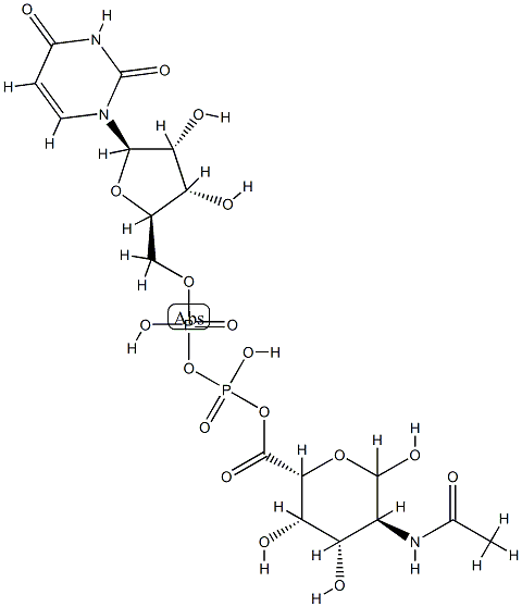 UDP-2-acetamido-2-deoxygalacturonic acid Struktur