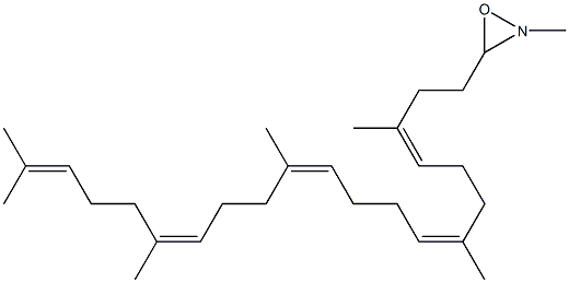 squalene N-methyloxaziridine Structure