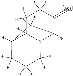 1,6-Methano-2H-quinolizin-7(6H)-one,hexahydro-(9CI) Struktur
