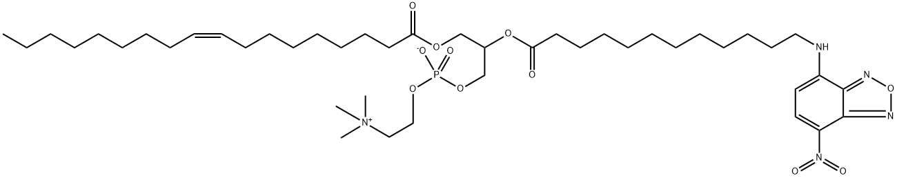 131479-28-2 1-oleoyl-2-(12-((7-nitro-2,1,3-benzoxadiazol-4-yl)amino)dodecanoyl)phosphatidylcholine