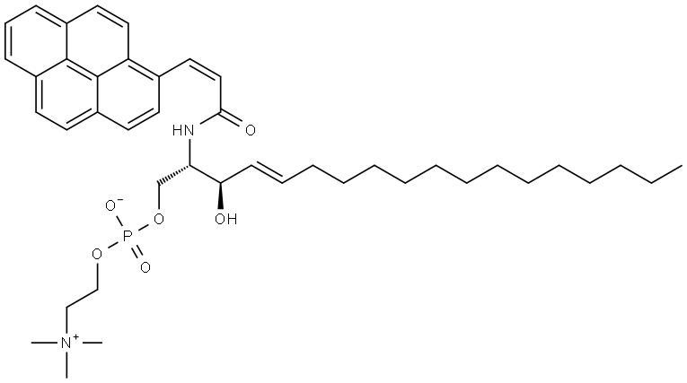N-(3-(1-pyrene)propenoyl)sphingomyelin|