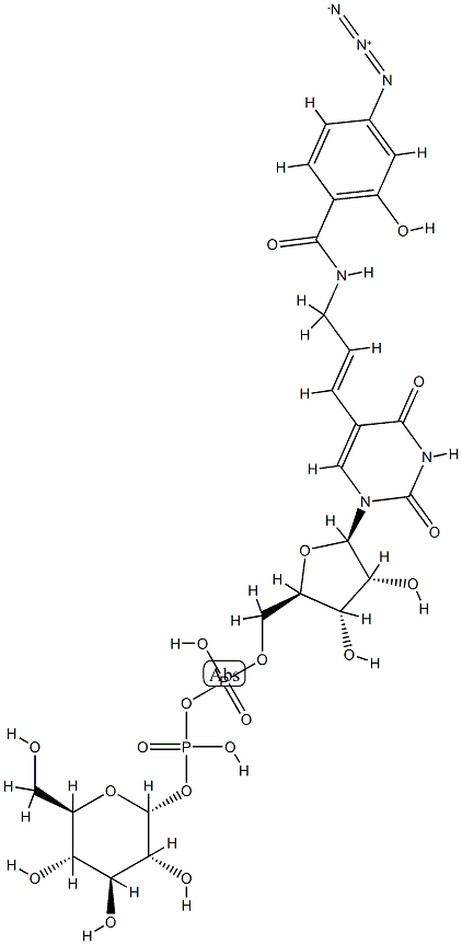 137731-71-6 5-(3-(4-azidosalicylamide)allyluridine)- 5'-diphosphoglucose