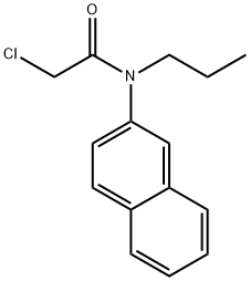 2-chloro-N-(naphthalen-2-yl)-N-propylacetamide,1397199-17-5,结构式