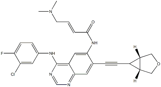 NT113 Structure