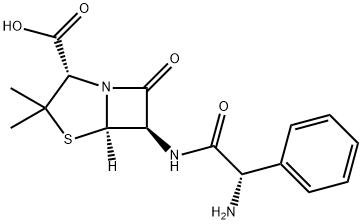 L-Ampicillin Structure