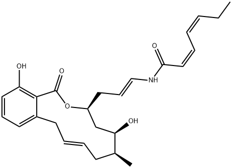 salicylihalamide A Struktur