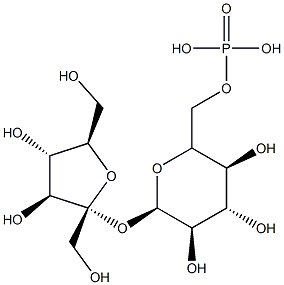 sucrose-6-phosphate Struktur
