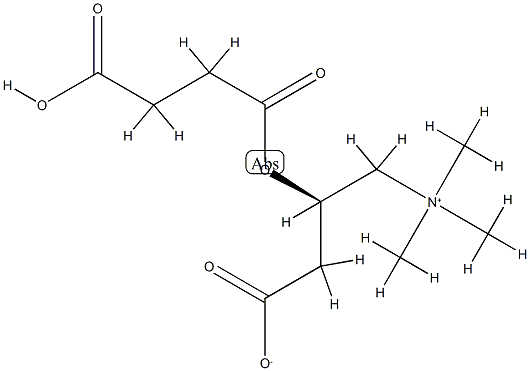 Succinyl Carnitine Chloride Salt Structure