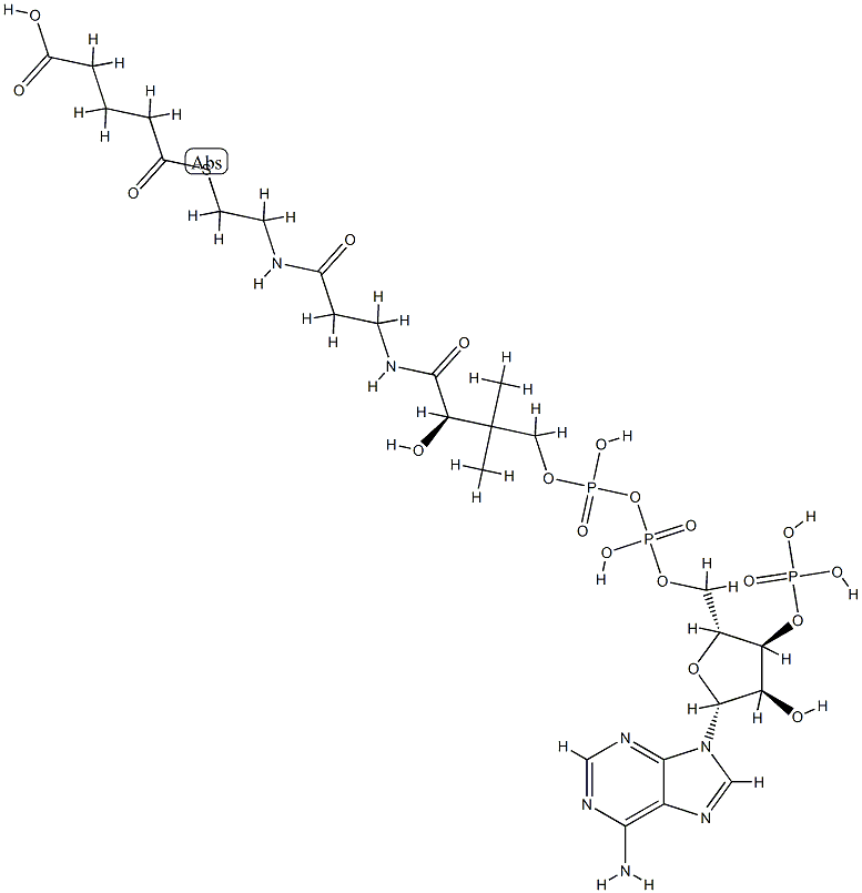 glutaryl-coenzyme A Structure