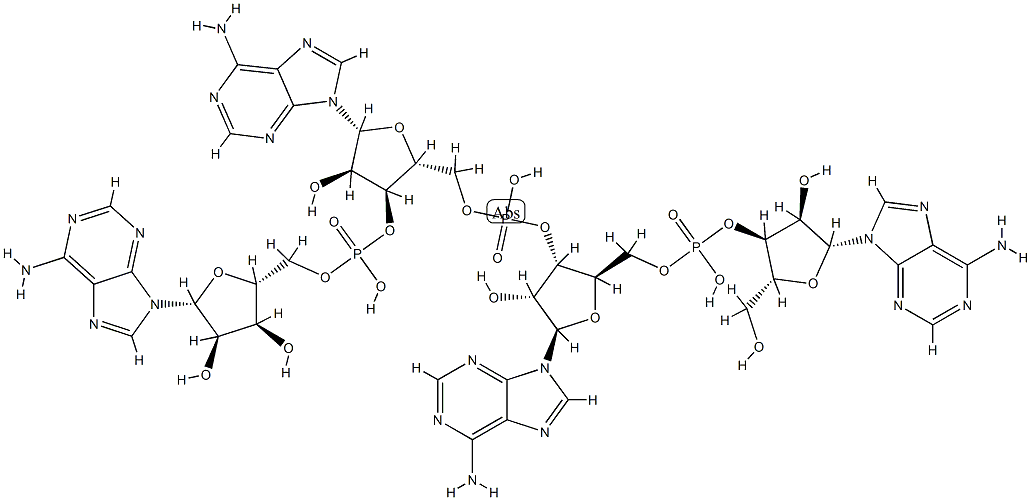 adenylyl-(3'-5')-adenylyl-(3'-5')-adenylyl-(3'-5')-adenosine 结构式