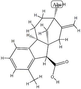 (4bα)-7-ヒドロキシ-1-メチル-8-メチレンギバ-1,3,4a(10a)-トリエン-10β-カルボン酸 化学構造式