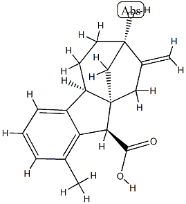 427-79-2 别赤霉低酸