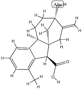 427-79-2 结构式