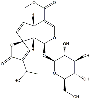 (1S,7R)-1α-(β-D-グルコピラノシルオキシ)-4aα,7aα-ジヒドロ-4'-[(S)-1-ヒドロキシエチル]-5'-オキソスピロ[シクロペンタ[c]ピラン-7(1H),2'(5'H)-フラン]-4-カルボン酸メチル 化学構造式