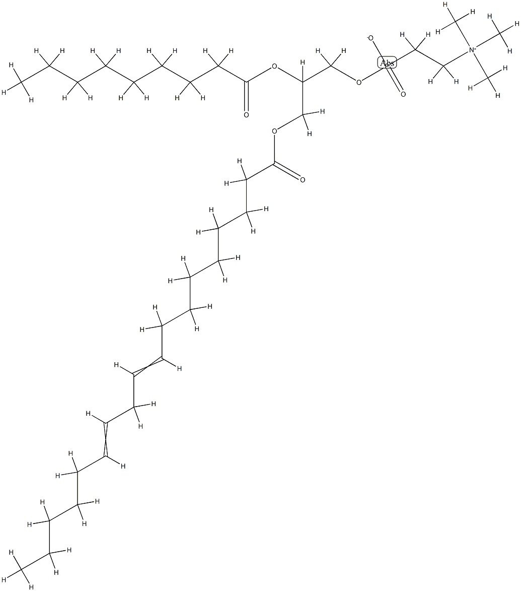 LECITHIN Structure