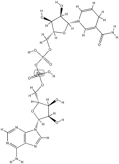 dihydronicotinamide-adenine dinucleotide Structure