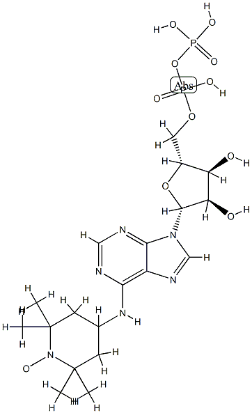 6-(2,2,6,6,-tetramethylpiperidine-1-oxyl)-adenosine diphosphate Structure