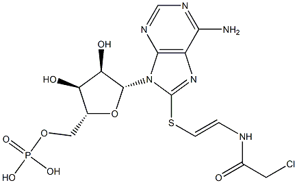 8-(chloroacetylaminoethylthio)cyclic AMP Structure