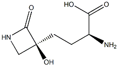 tabtoxinine beta-lactam Struktur