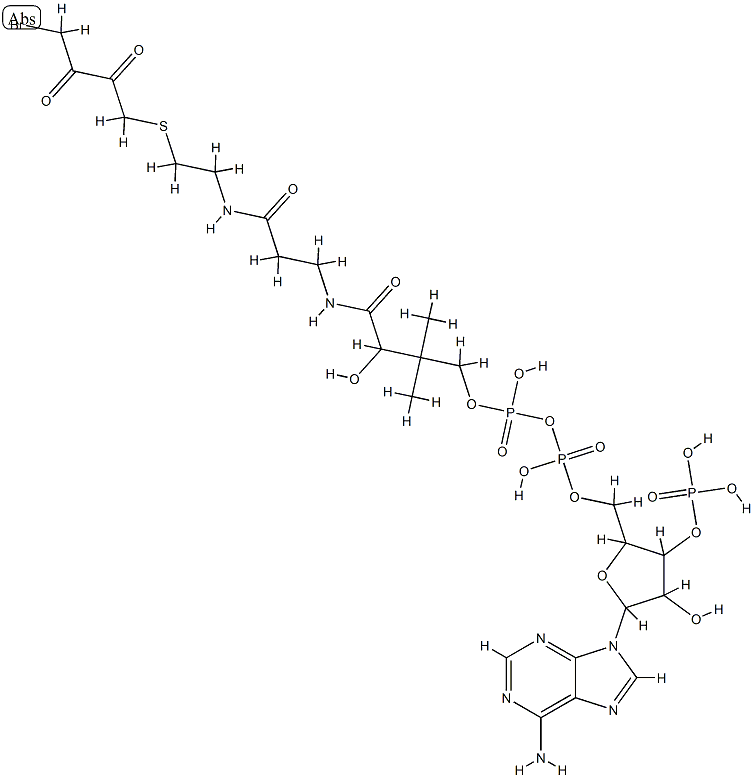 4-bromo-2,3-dioxobutyl-coenzyme A Structure