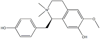 木兰箭毒碱