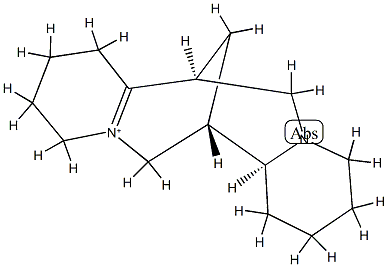 1,6-Didehydrosparteinium 结构式