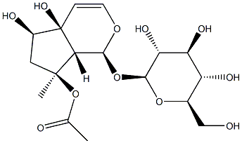 8-O-乙酰哈巴苷