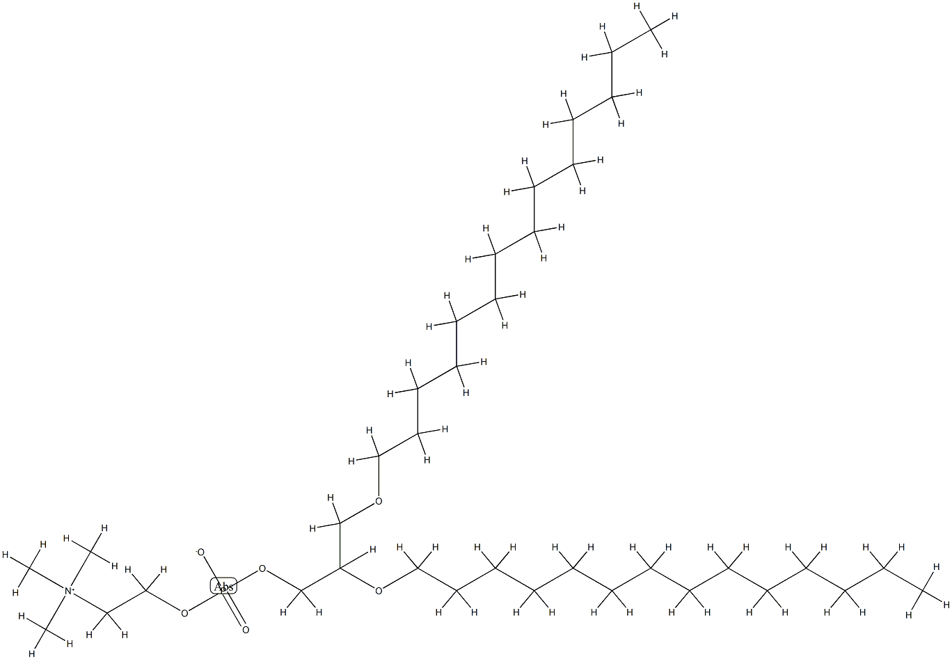 1,2-ditetradecylphosphatidylcholine Structure