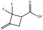Cyclobutanecarboxylic acid, 2,2-difluoro-3-methylene- (6CI,8CI,9CI) Structure