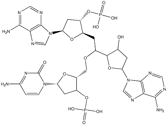 deoxyadenylyl-(3'-5')-deoxycytidylyl-(3'-5')-deoxyadenosine|