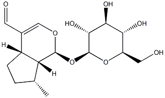 (1S)-1-(β-D-Glucopyranosyloxy)-1,4aα,5,6,7,7aα-hexahydro-7β-methylcyclopenta[c]pyran-4-carbaldehyde 结构式