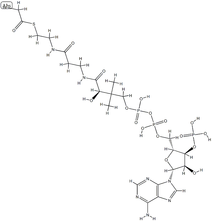 2-bromoacetyl coenzyme A Structure