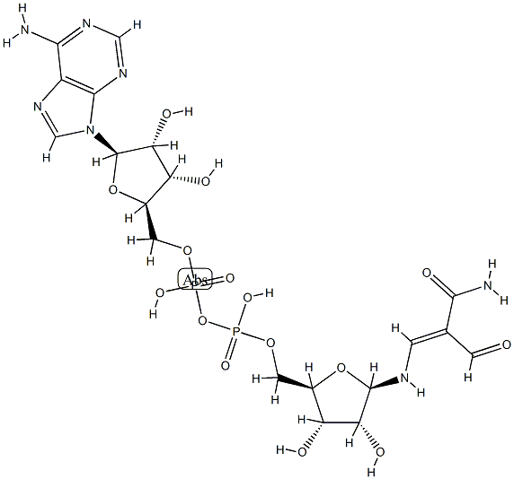 NADX Structure
