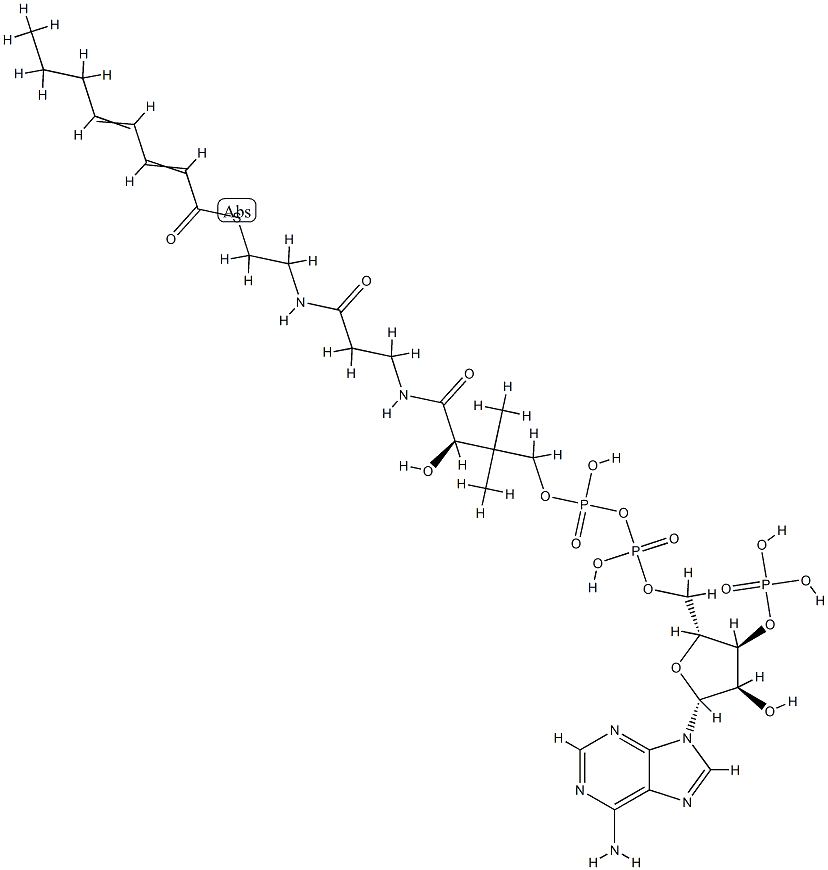 2-trans,4-trans-Octadienoyl-CoA|辅酶A杂质21