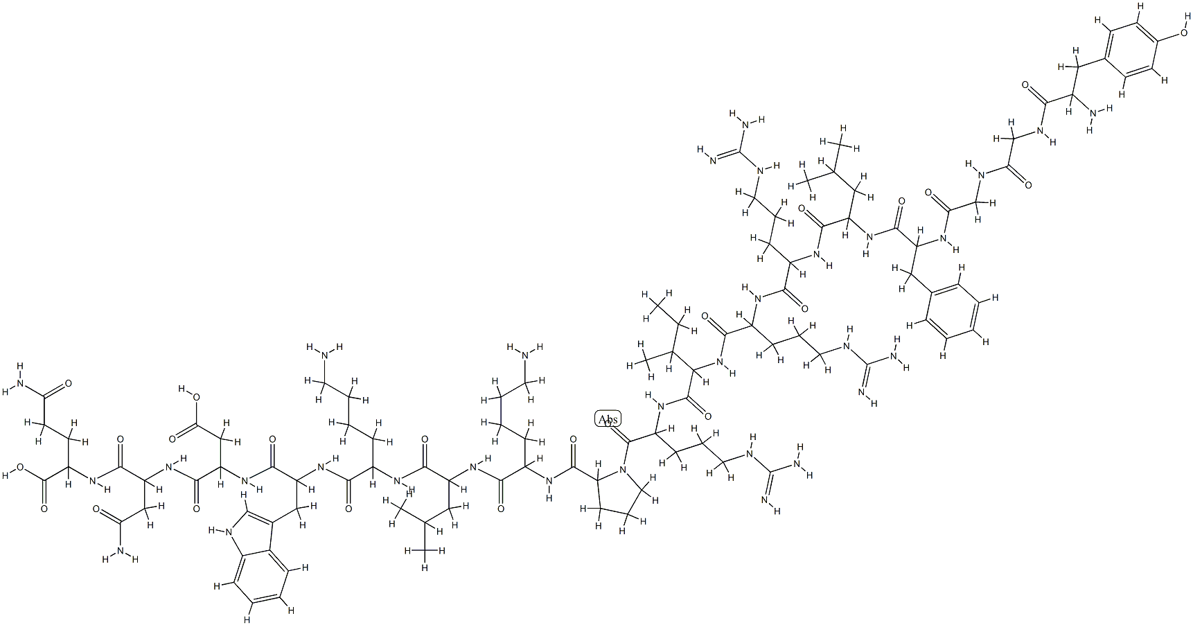Dynorphins Structure