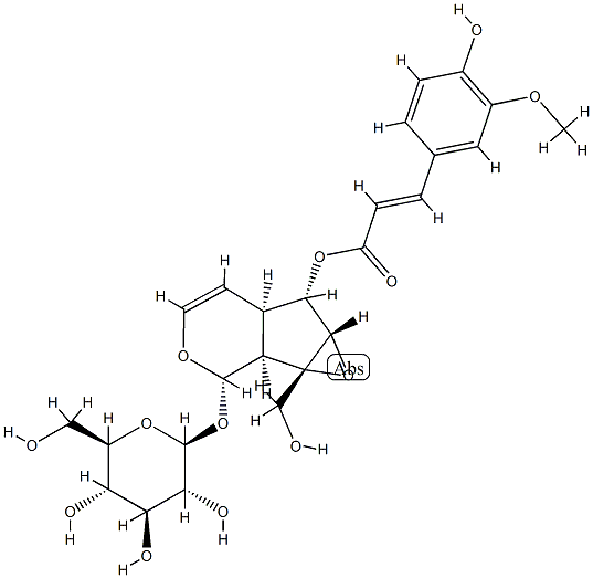 6-阿魏酰梓醇,770721-33-0,结构式