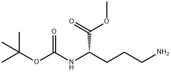 BOC-L-鸟氨酸甲酯 结构式