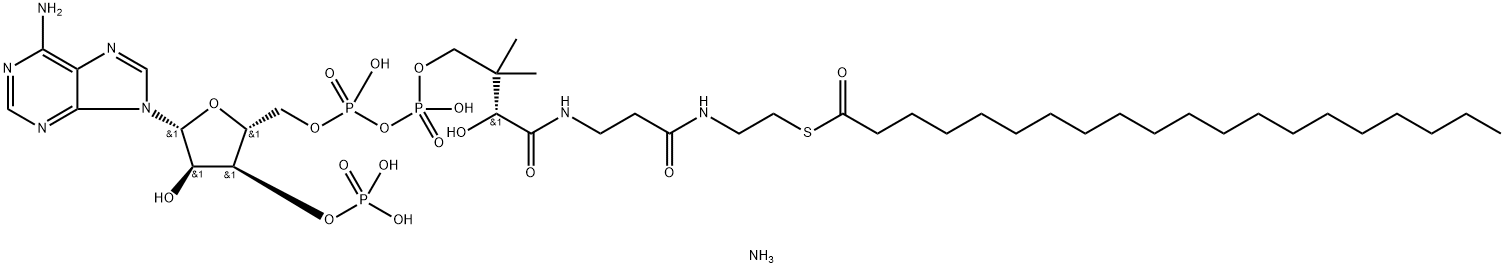 arachidoyl CoenzyMe A (aMMoniuM salt),799812-91-2,结构式