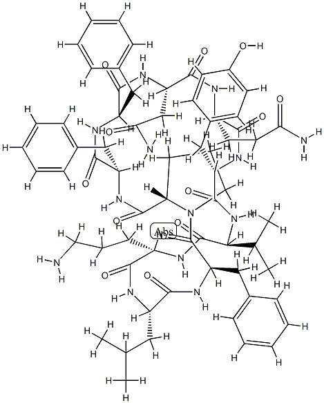 Tyrocidine Structure