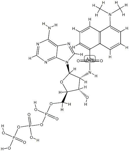 dansylamino deoxy-ATP|