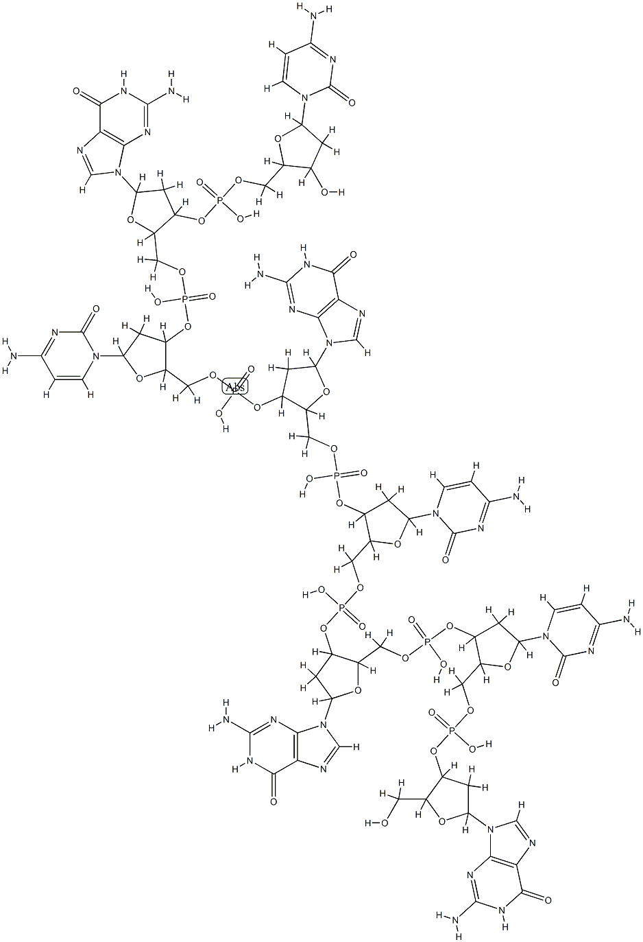 oligo(dG-dC) 化学構造式