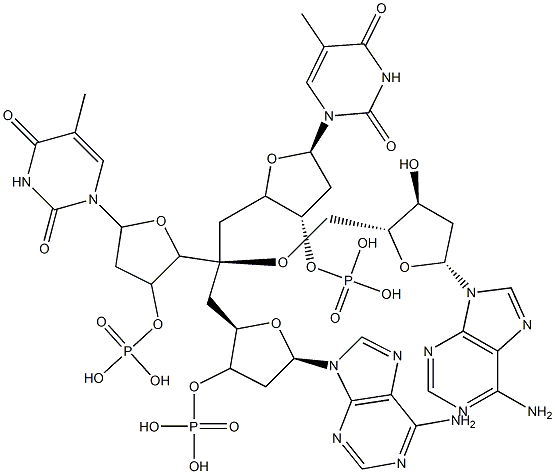 deoxy-(thymidylyl-adenylyl-adenylyl-thymidylic acid) Structure