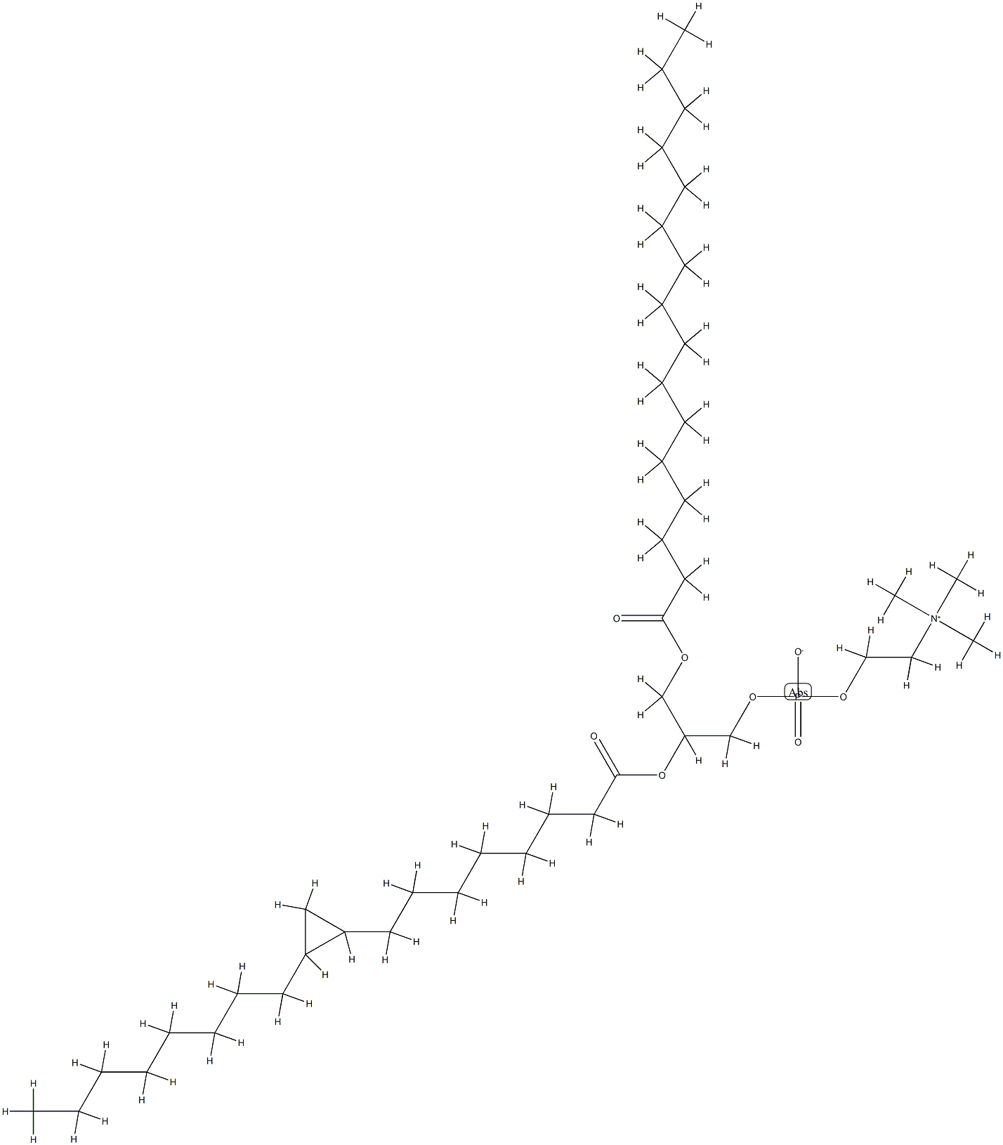  化学構造式