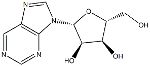 NUCLEOSIDE PHOSPHORYLASE Struktur