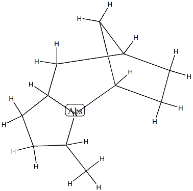 5,8-Methano-1H-pyrrolo[1,2-a]azepine,octahydro-3-methyl-(9CI) 结构式
