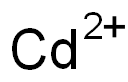 AMYLOGLUCOSIDASE Structure