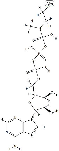 ATP gamma-(N-(2-chloroethyl)-N-methyl)amide|