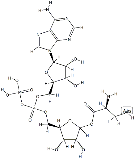ADP-ribosylcysteine|